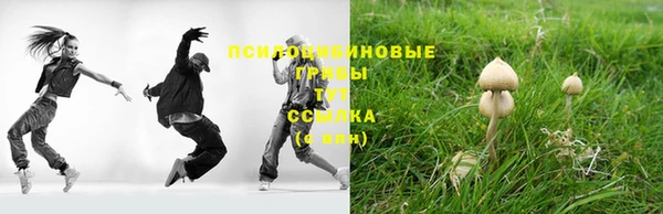 стафф Алексин