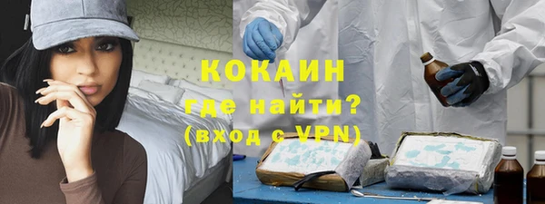 стафф Алексин