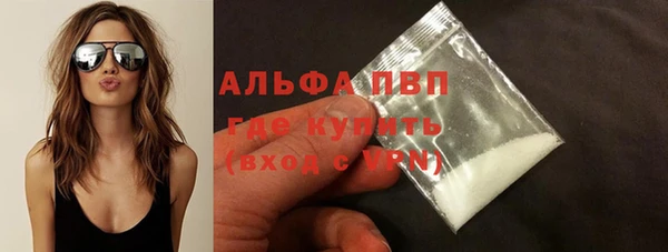 стафф Алексин